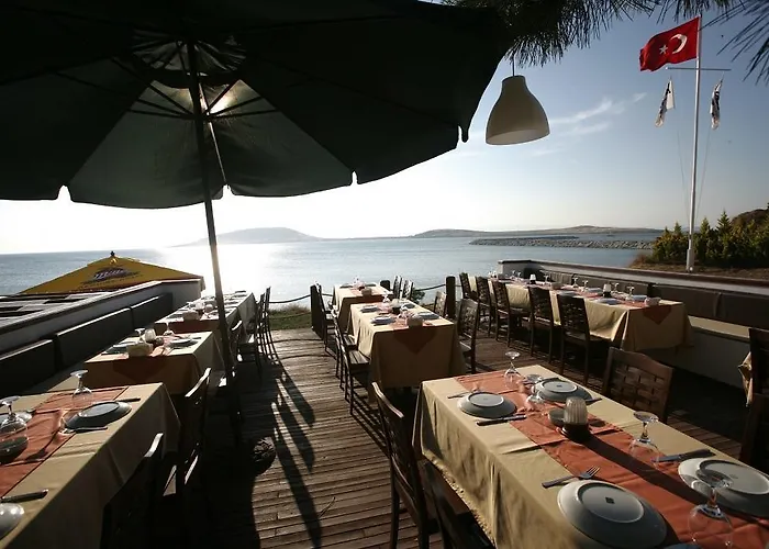 Butik Akvaryum * Türkeli